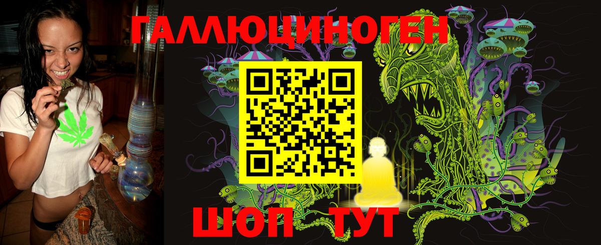 Галлюциногенные грибы GOLDEN TEACHER  Псилоцибиновые грибы Magic Shrooms  Вход с VPN  Новоалександровск 